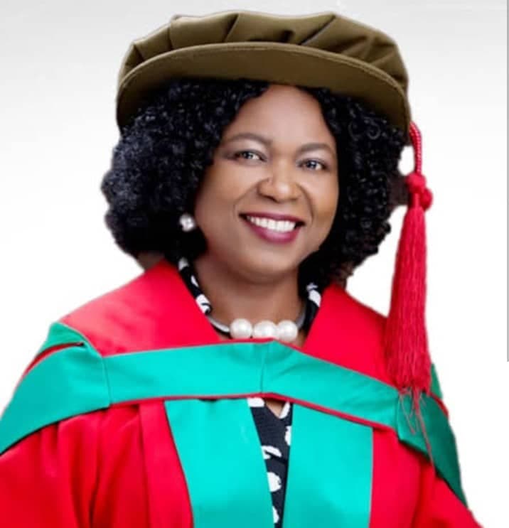 Prof Joy Ngozi Ezeilo-image